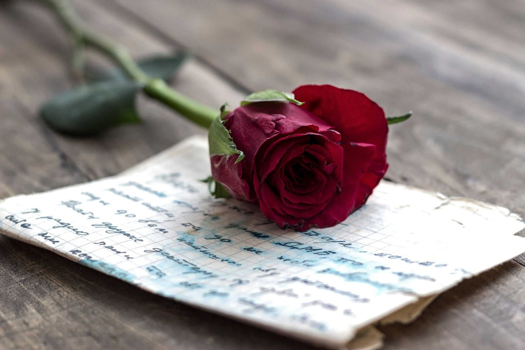 Heartfelt Valentine's Day Quotes to Celebrate Love in All Its Forms