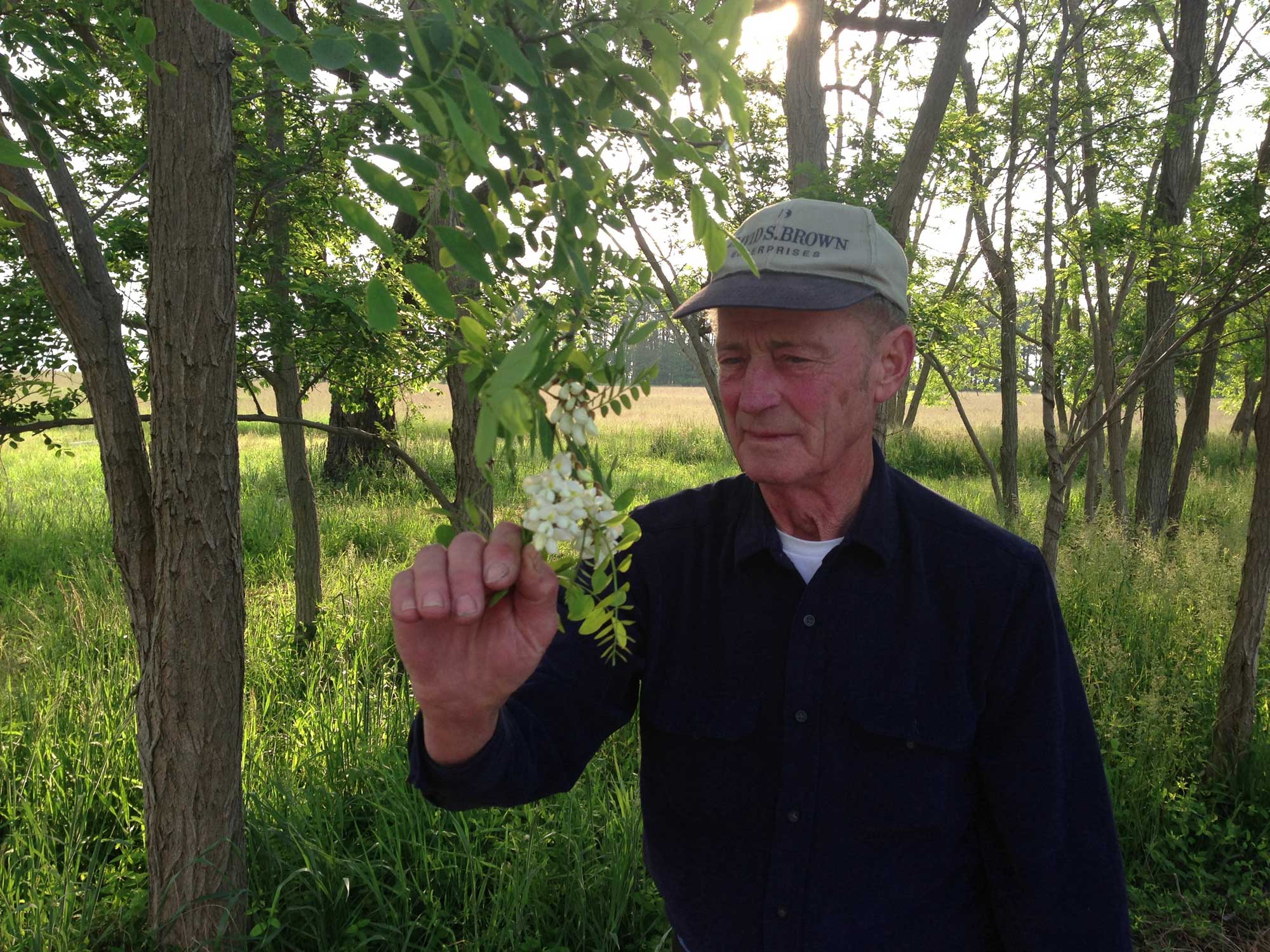 In Honor of Dale Large, Beekeeping Mentor