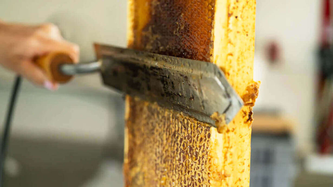 Is Honey Gluten Free? Pure Facts for a Gluten‑Free Diet