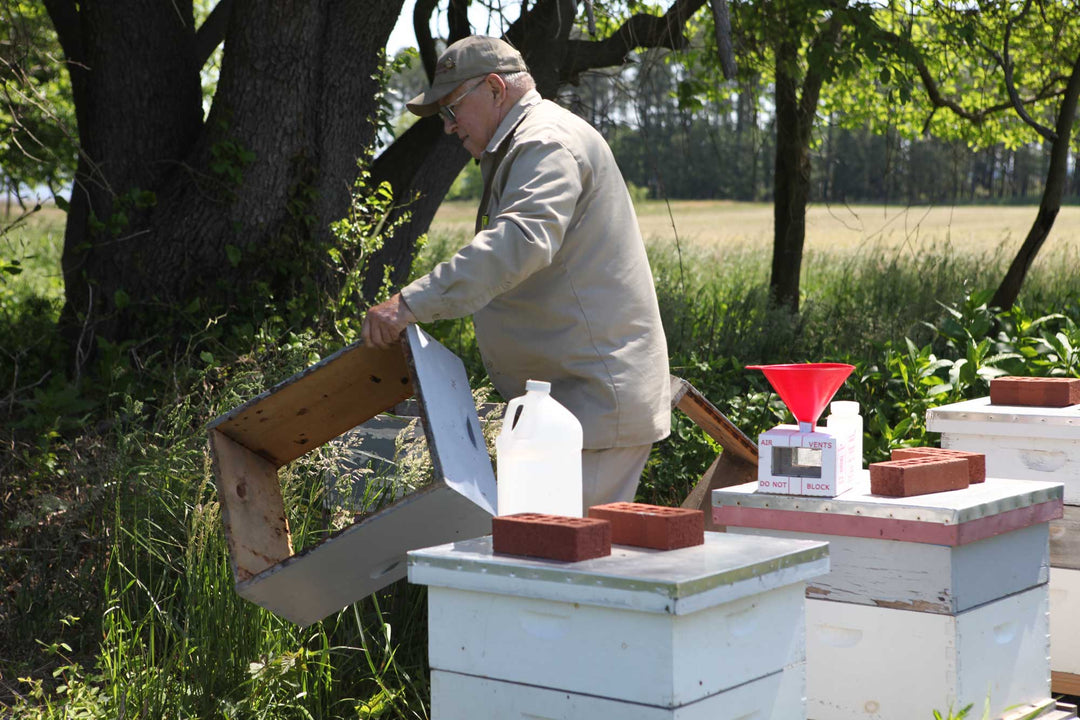 My Bees Needed a Z-Pack: A Nosema Diagnosis (Bee Inspection, Part 2)