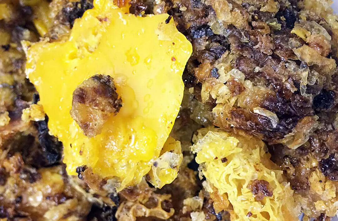 How to Filter Beeswax: Methods, Safety, and What We Learned the Hard Way
