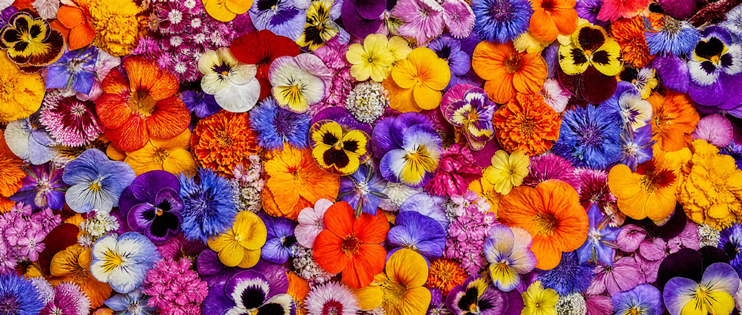 Cooking With Edible Flowers hero