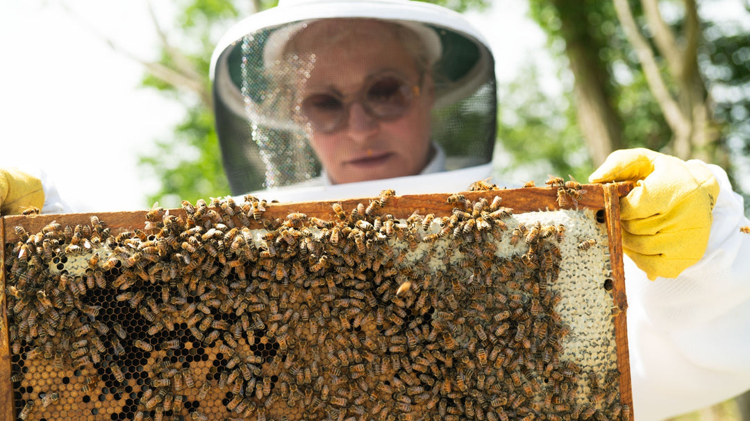 The Math and Mystery of the Honeycomb Pattern