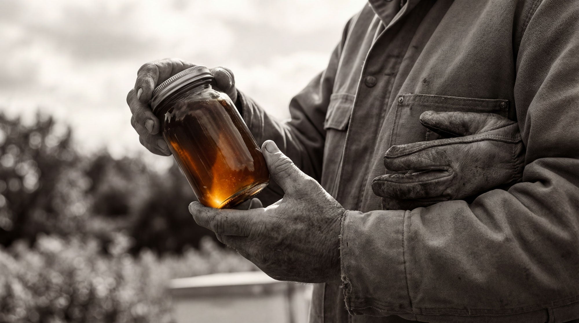beekeeper after harvesting sourwood