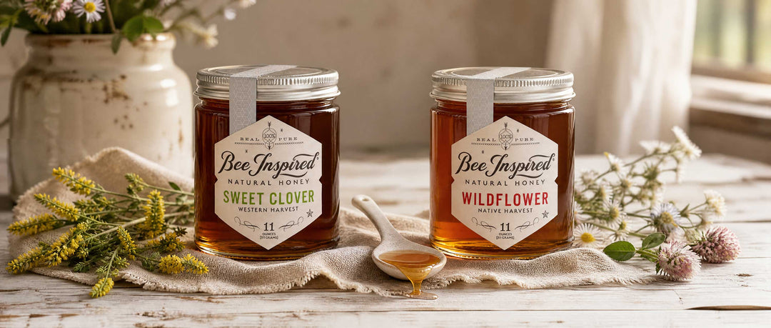 sweet-clover-vs-wildflower honey comparison on white table
