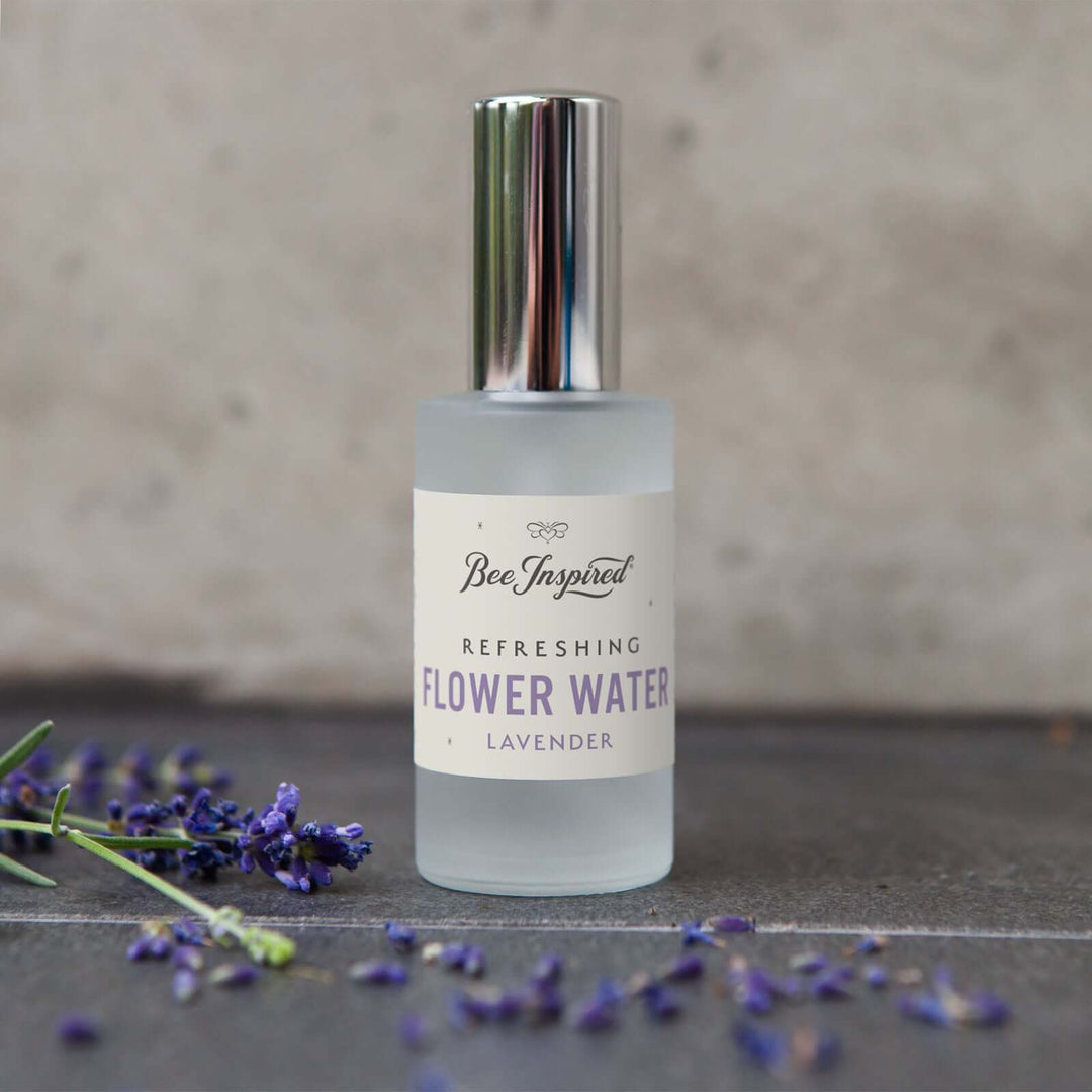 Bee Inspired lavender flower water next to fresh lavender buds 