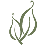 Green leaf logo on a white background