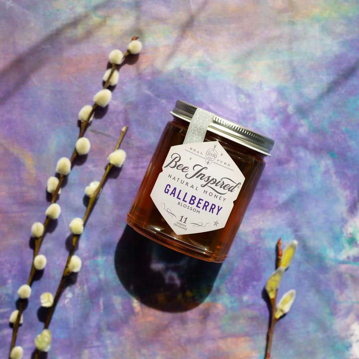 Gallberry honey on purple art 
