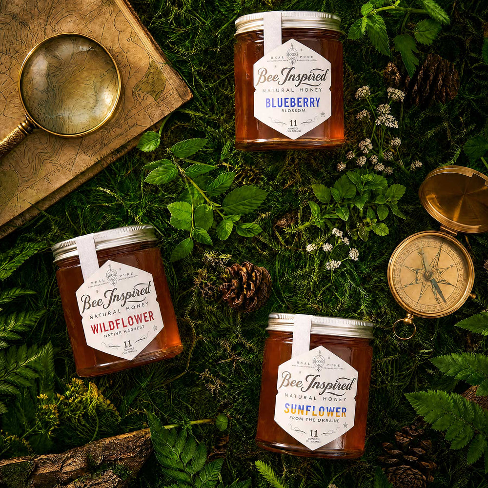 Three glass jars of Bee Inspired Natural Honey arranged on a forest floor with moss, pinecones, a magnifying glass, and a compass. The jars are labeled Blueberry, Wildflower, and Sunflower.