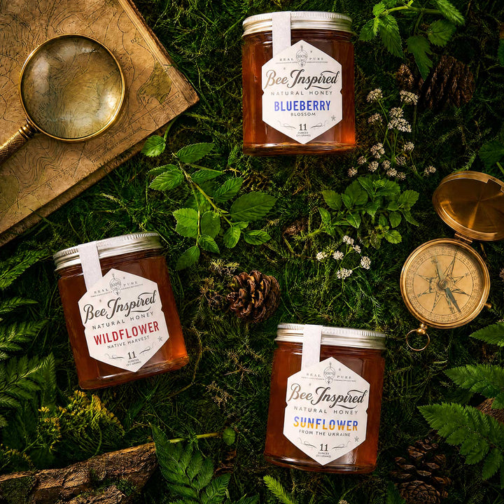 Three glass jars of Bee Inspired Natural Honey arranged on a forest floor with moss, pinecones, a magnifying glass, and a compass. The jars are labeled Blueberry, Wildflower, and Sunflower.