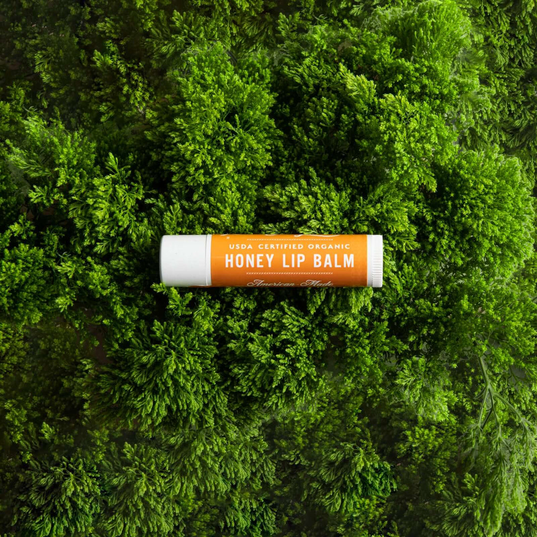 Honey lip balm on moss 