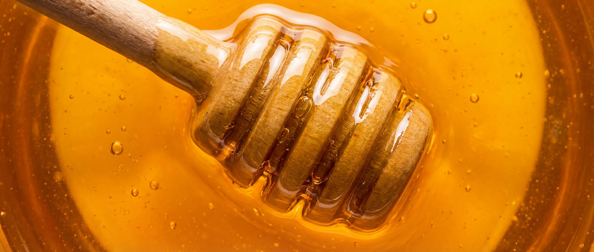 Honey dipper in a pool of honey with a close-up view