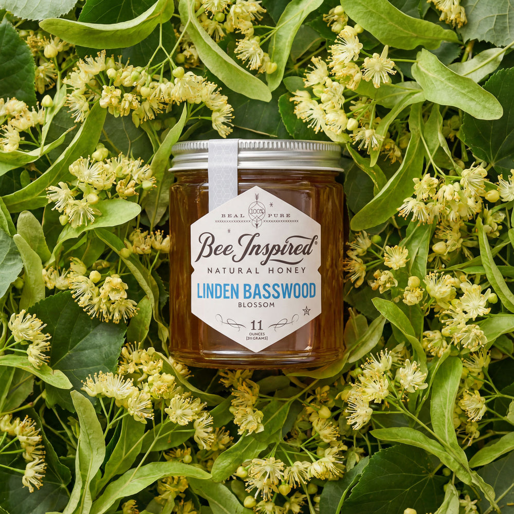 Jar of Bee Inspired Linden Basswood Blossom honey surrounded by flowers and leaves