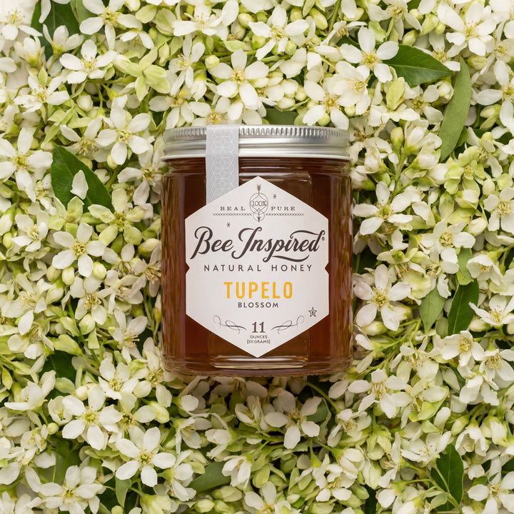 Jar of Bee Inspired Tupelo Blossom honey surrounded by tupelo flowers